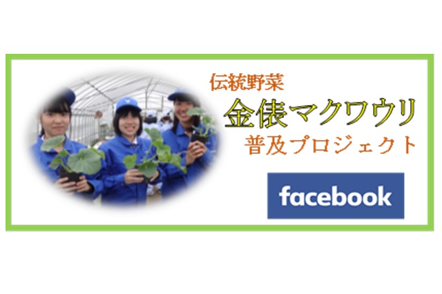 金俵マクワウリ普及プロジェクト